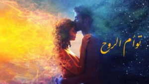 دورة توأم الروح